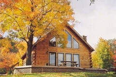cabin-1 copy