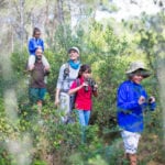 family exploring the woods