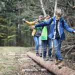 kids climbing over tree